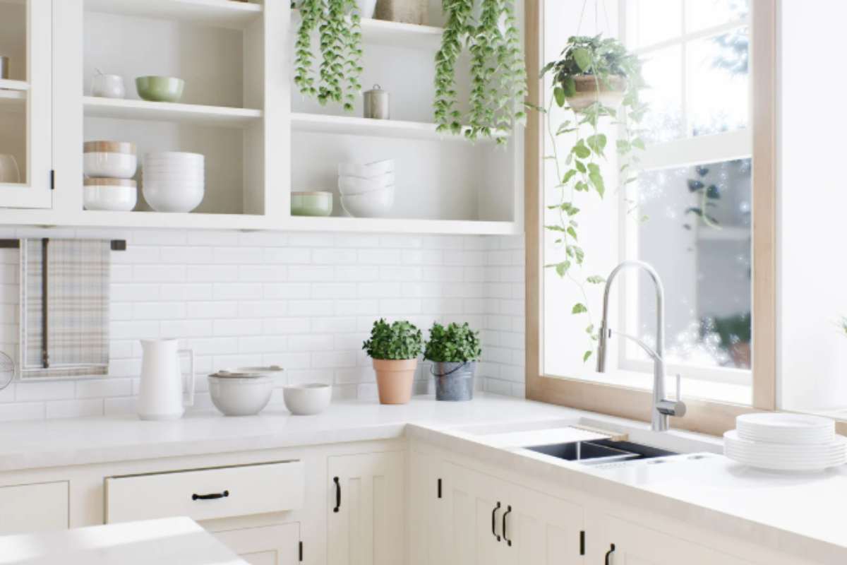 cucina canva
