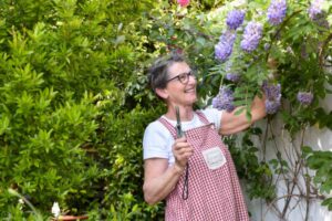 Potare il glicine a settembre nel modo sbagliato significa niente fiori a primavera: l'errore che fanno quasi tutti potare glicine