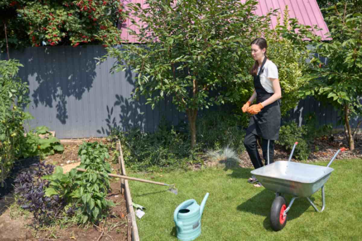 Il giardiniere di fiducia fa queste 5 cose in giardino prima del 30 settembre: tu le stai ignorando lavori in giardino