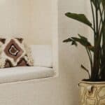 casa strelitzia